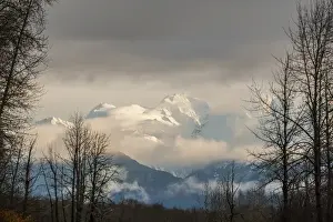 Bare Prints: USA, Alaska, Chilkat River Valley. Snowy mountains