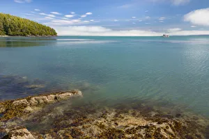 Seashore Prints: USA, Alaska, Craig. Rocky shore of Gulf of Esquibel