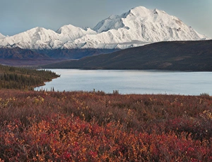 USA Alaska Denali Mt. McKinley from Wonder Lake