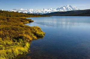 USA, Alaska, Denali National Park, fall colors, Denali