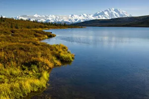 USA, Alaska, Denali National Park, fall colors, Denali