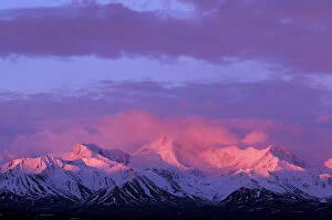 Images Dated 31st August 2003: USA, Alaska, Denali NP Bright red alpenglow on Alaska Range peaks at 3 a.m. sunrise