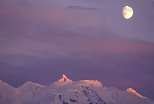 USA, Alaska, Denali NP. Moon over the alpenglow-lit summit of Mt Silverthrone in the Alaska Range