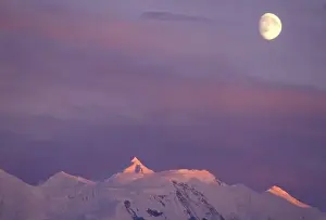Moon Rise Prints: USA, Alaska, Denali NP. Moon over the alpenglow-lit summit of Mt Silverthrone in the Alaska Range