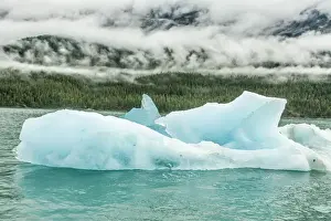 Alaska Prints: USA, Alaska, Endicott Arm. Close-up of offshore icebergs