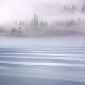 Images Dated 22nd April 2020: USA, Alaska, Endicott Arm. Foggy morning at Fords Terror