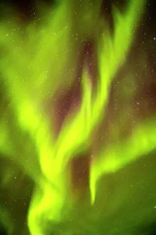 Star Prints: USA, Alaska, Fairbanks. Aurora borealis fills night sky