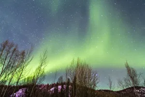 Images Dated 12th May 2020: USA, Alaska, Fairbanks. Aurora borealis over mountain landscape