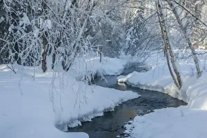 Fairbanks Prints: USA, Alaska, Fairbanks. Chena River in winter