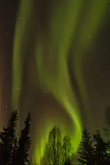Images Dated 11th March 2016: USA, Alaska, Fairbanks. Northern lights patterns and colors