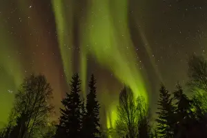 Images Dated 11th March 2016: USA, Alaska, Fairbanks. Northern lights patterns and colors