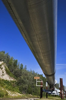 Images Dated 23rd July 2005: USA, Alaska, Fairbanks. Under view of the Alyeska Pipeline