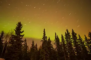 Aurora Prints: USA, Alaska, Fairbanks. View of aurora borealis and star trails