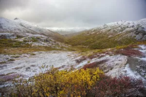 USA, North America, Alaska Gallery: USA, Alaska. Fall colors in Denali National Park with snow dusting the landscape at