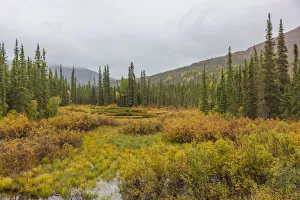 Highway Prints: USA, Alaska. Fall colors in the tundra on the Dalton Highway to Prudhoe Bay on the North