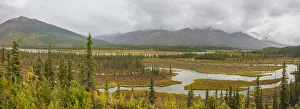 USA, Alaska. Fall colors in the tundra on the Dalton Highway to Prudhoe Bay on the North