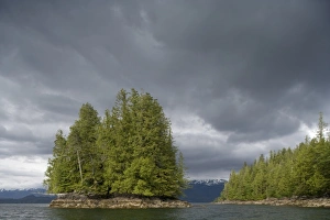 Images Dated 25th June 2007: USA, Alaska, Forest covered islands near Misty Fiords National Monument