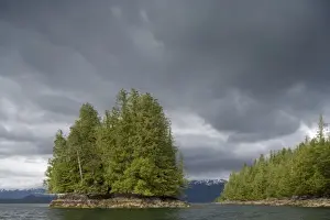 Ketchikan Prints: USA, Alaska, Forest covered islands near Misty Fiords National Monument