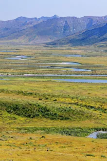 Images Dated 19th October 2022: USA, Alaska, Gates of the Arctic National Park