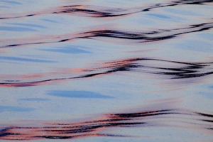 Images Dated 4th July 2009: USA, Alaska, Glacier Bay National Park. Water reflections on waves