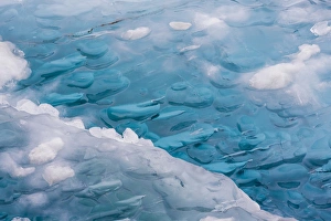 Images Dated 1st July 2013: USA, Alaska, Glacier Bay National Park. Close-up of blue ice