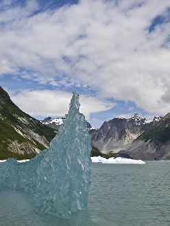 Images Dated 15th July 2011: USA, Alaska, Glacier Bay National Park. Floating iceberg from the McBride Glacier