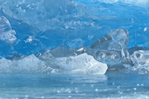 USA, Alaska, Glacier Bay National Park. Close-up of melting blue on Reid Glacier