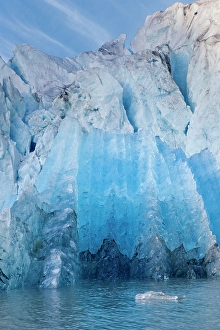 Images Dated 13th October 2023: USA, Alaska, Glacier Bay National Park