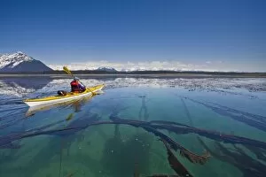 Images Dated 20th May 2007: USA, Alaska, Glacier Bay National Park. Woman sea kayaker in Beardsley Island group