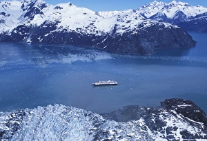 Images Dated 26th January 2011: USA, Alaska, Glacier Bay National Park, Lamplugh Glacier, John Hopkins Inlet. Holland