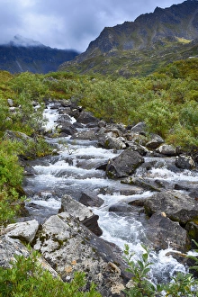 Images Dated 19th August 2016: USA, Alaska, Hatchers Pass