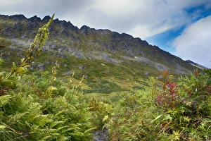 Images Dated 19th August 2016: USA, Alaska, Hatchers Pass