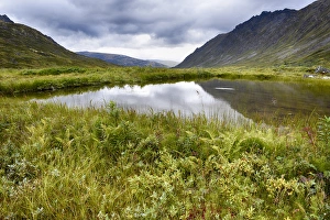 Images Dated 19th August 2016: USA, Alaska, Hatchers Pass