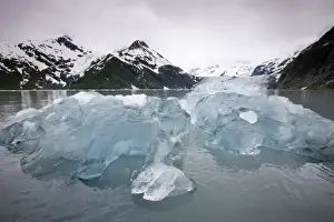 Images Dated 22nd June 2008: USA, Alaska, Iceberg and Surprise Glacier in Harriman Fiord in Prince William Sound