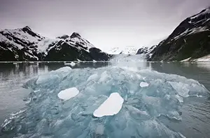 College Fjord Prints: USA, Alaska, Iceberg and Surprise Glacier in Harriman Fiord in Prince William Sound