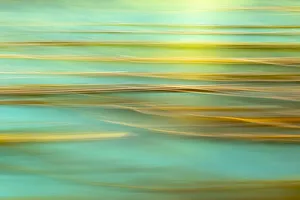 Blurred Prints: USA, Alaska, Inian Islands. Abstract of kelp in motion. Credit as