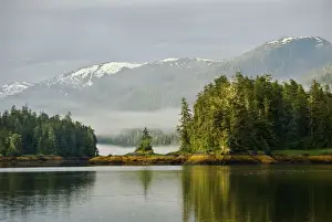 Ethereal Prints: USA, Alaska, Inside Passage. View of foggy forest and mountains