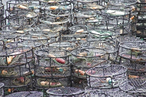 Images Dated 28th August 2011: USA Alaska InsidePassage Lobster Traps