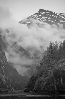 Black And White Prints: USA, Alaska, Juneau, Rainforest covers fjords in Fords Terror along Endicott Arm