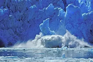 Falling Prints: USA, Alaska, Juneau. Part of South Sawyer Glacier on the Inside Passage falls into the water