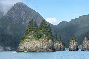 Sea Stack Prints: USA, Alaska, Kenai Fjords National Park. Pinnacle Rocks eroded formation in ocean