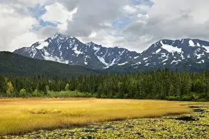 Marie Bush Prints: USA, Alaska, Kenai Peninsula. Early autumn landscape