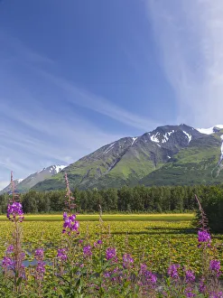 USA, Alaska, Kenai Peninsula. Mountain and lake landscape