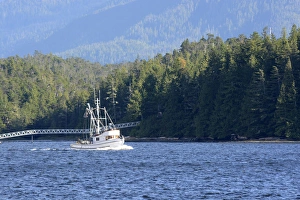 Images Dated 20th August 2015: USA, Alaska, Ketchikan