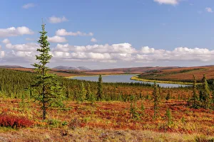 Fredrik Norrsell Prints: USA, Alaska, Kotzebue, Noatak River. Autumn colors along the Noatak River