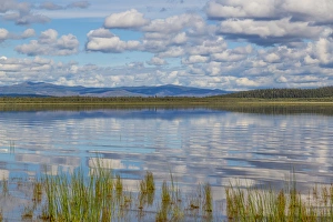 Alaska Prints: USA, Alaska. Landscape with Quartz Lake