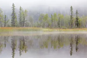 Foggy Prints: USA, Alaska, Little Lost Lake. Landscape with lake and foggy forest