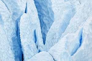 Marie Bush Prints: USA, Alaska. Matanuska Glacier close-up