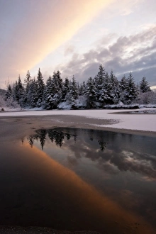 Images Dated 20th November 2009: USA, Alaska, Mendenhall Glacier. Sunset reflection in Steep Creek