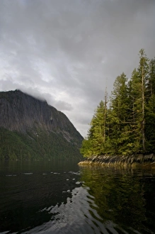 Images Dated 25th June 2007: USA, Alaska, Misty Fjords National Monument, Setting sun light rainforest along Rudyerd